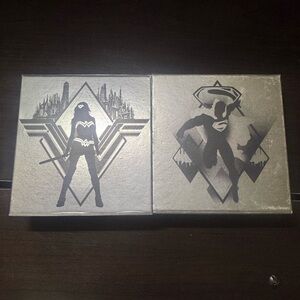 Silver Superhero Canvas Art Duo